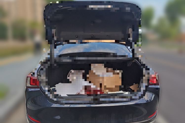 Used Lexus ES 2020 200 Excellence Edition Trunk