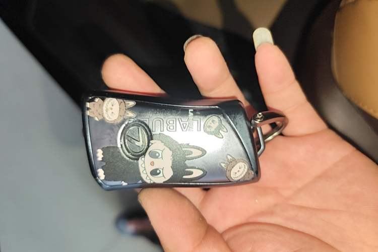 Used Lexus ES 2020 200 Excellence Edition Vehicle Key