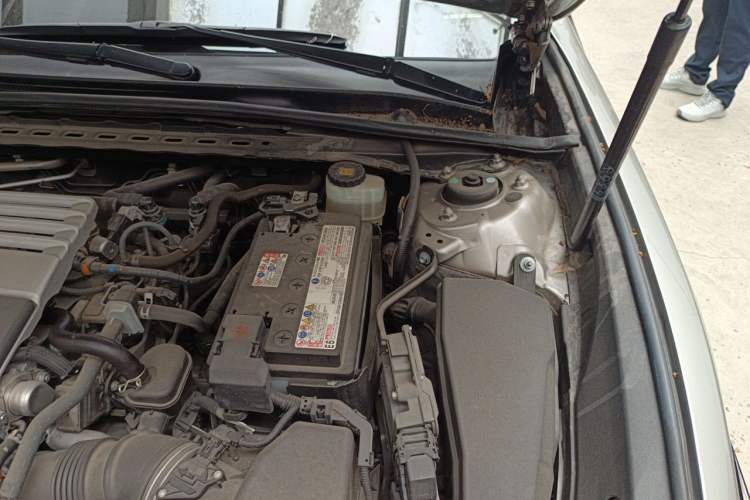 Used Lexus ES 2020 200 Excellence Edition Engine Bay Left