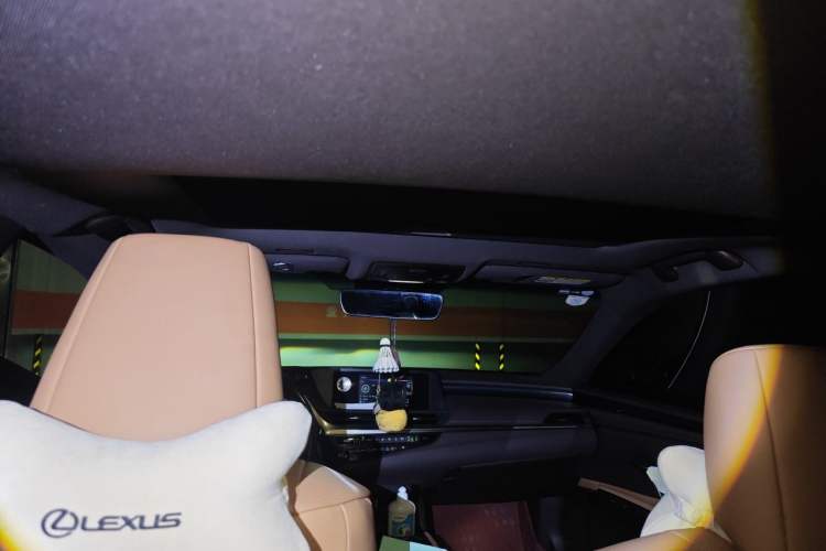 Used Lexus ES 2020 300h Premier Edition Headliner
