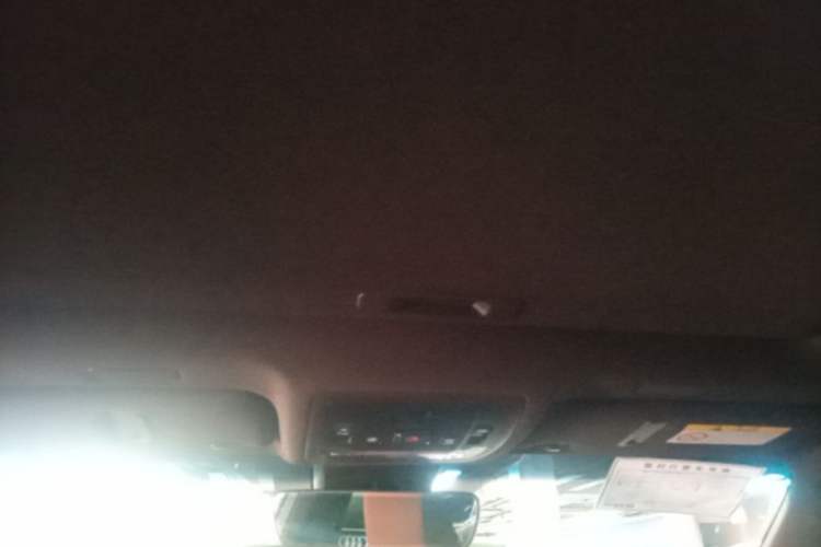 Used Lexus ES 2020 200 Luxury Edition Headliner