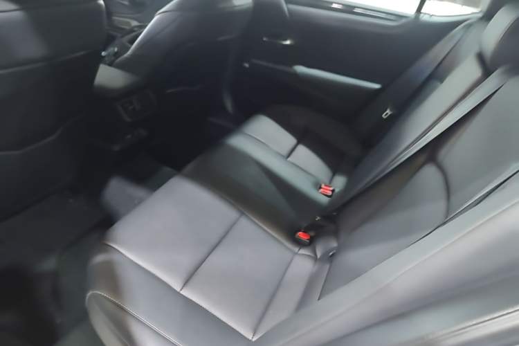 Used Lexus ES 2020 300h Deluxe Edition Left Rear Seat