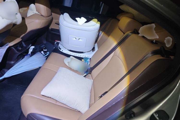 Used Lexus ES 2020 300h Premier Edition Left Rear Seat