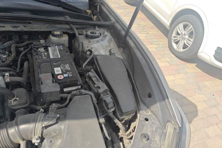 Used Lexus ES 2020 200 Excellence Edition Engine Bay Left