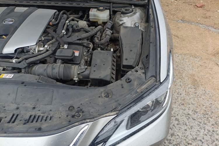 Used Lexus ES 2020 300h Premier Edition Engine Bay Left
