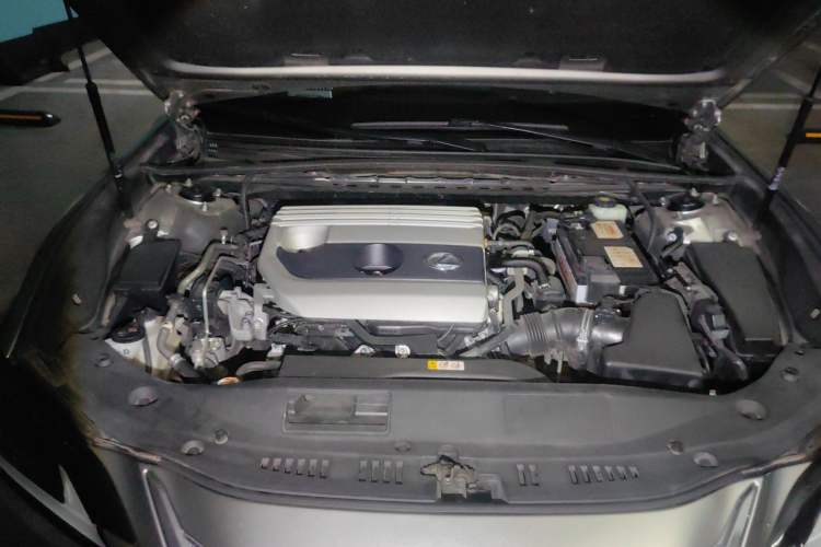 Used Lexus ES 2020 200 Excellence Edition Engine Bay