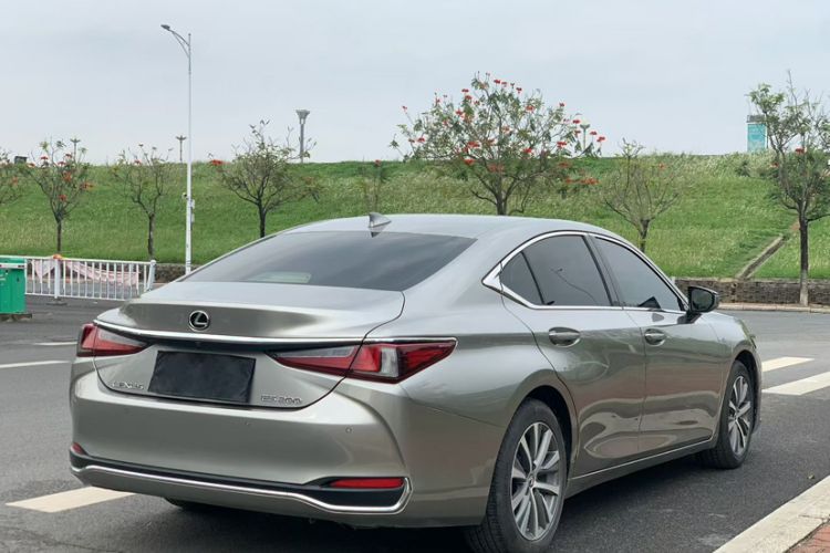 Used Lexus ES 2020 200 Excellence Edition Exterior 5
