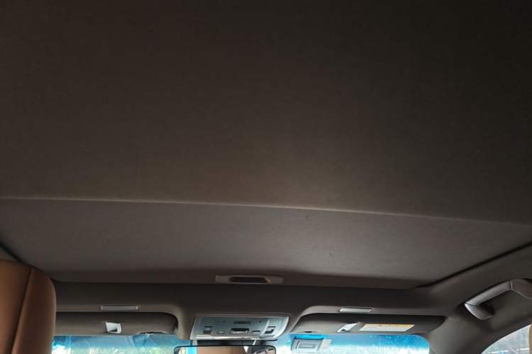 Used Lexus ES 2020 300h Premier Edition Headliner