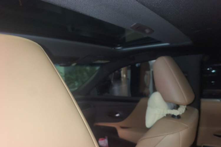 Used Lexus ES 2020 300h Premier Edition Headliner