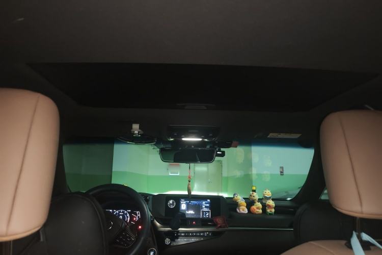 Used Lexus ES 2020 200 Excellence Edition Headliner