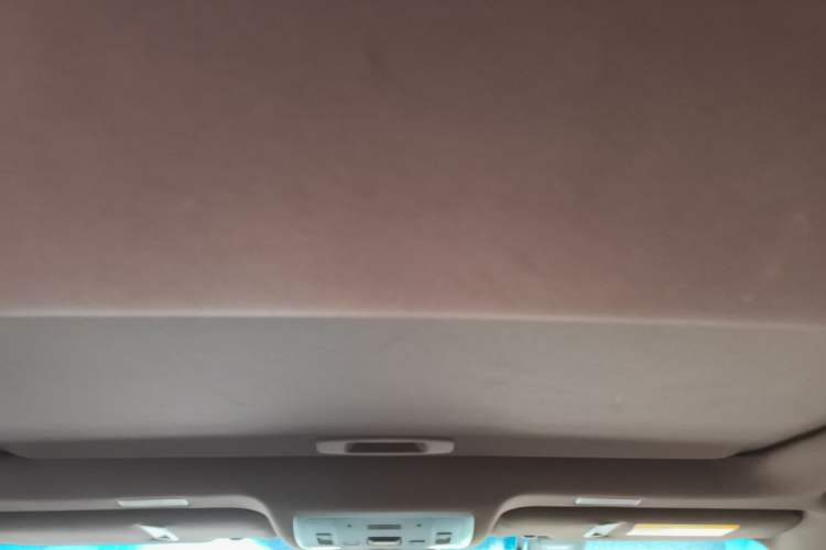 Used Lexus ES 2020 260 Excellence Edition Headliner