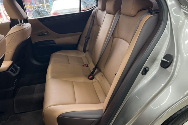Used Lexus ES 2020 200 Excellence Edition Interior 4