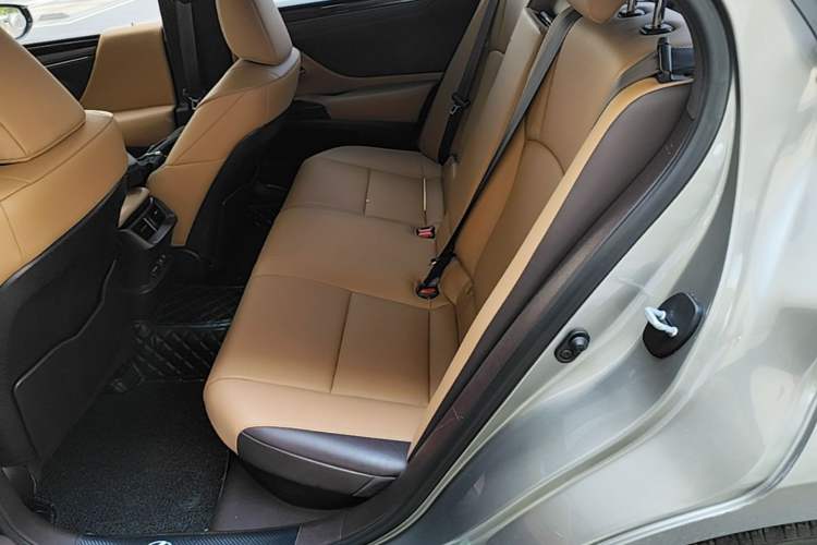 Used Lexus ES 2020 300h Premier Edition Left Rear Seat