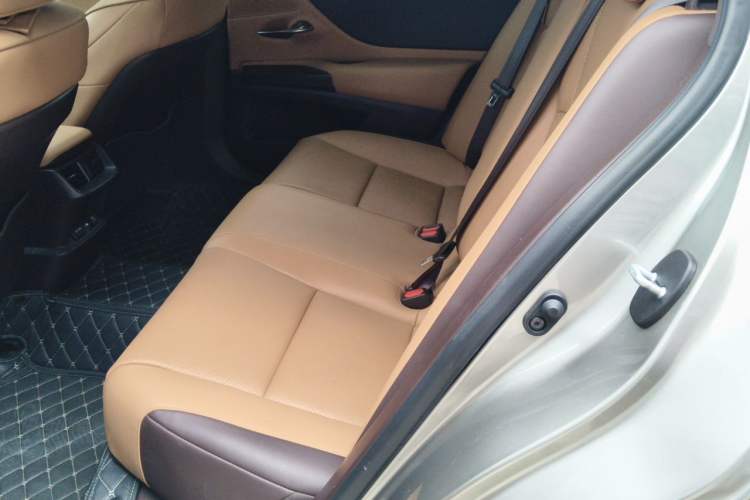 Used Lexus ES 2020 260 Excellence Edition Left Rear Seat