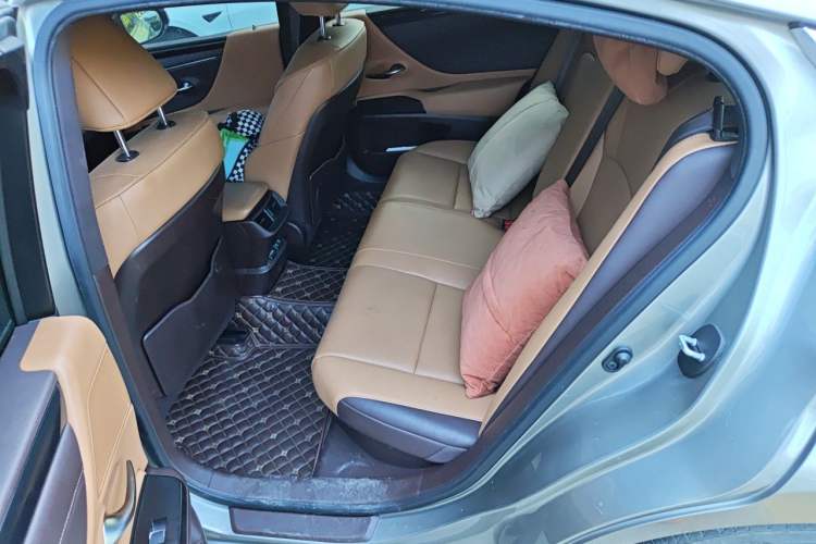 Used Lexus ES 2020 300h Premier Edition Left Rear Seat