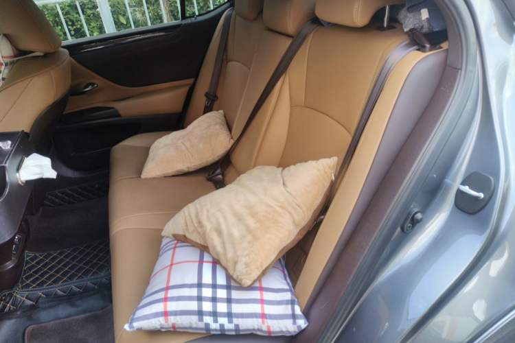 Used Lexus ES 2020 200 Excellence Edition Left Rear Seat
