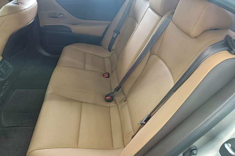 Used Lexus ES 2020 200 Excellence Edition Left Rear Seat