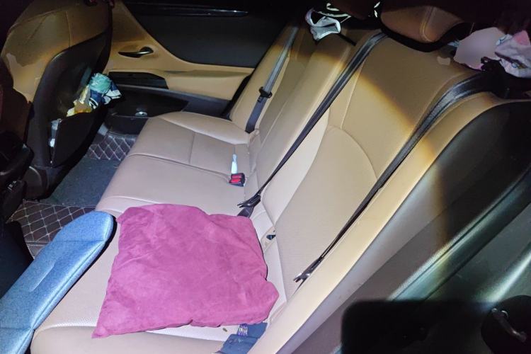 Used Lexus ES 2020 200 Excellence Edition Left Rear Seat