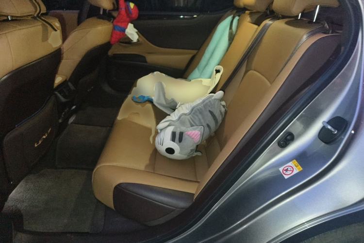 Used Lexus ES 2020 200 Luxury Edition Left Rear Seat