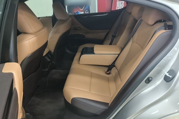 Used Lexus ES 2020 300h Premier Edition Left Rear Seat