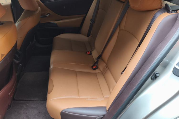 Used Lexus ES 2020 260 Excellence Edition Left Rear Seat