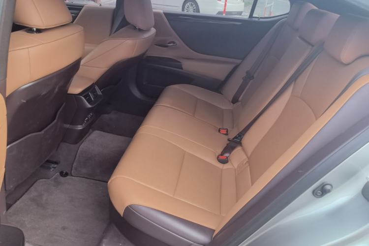 Used Lexus ES 2020 300h Premier Edition Left Rear Seat