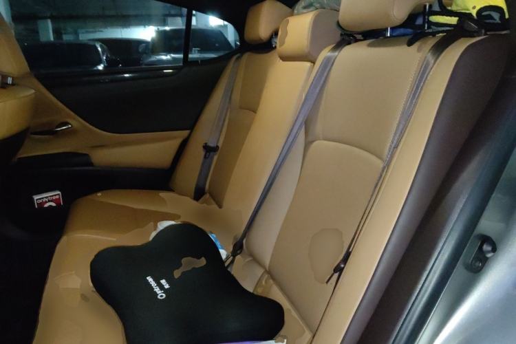 Used Lexus ES 2020 200 Excellence Edition Left Rear Seat