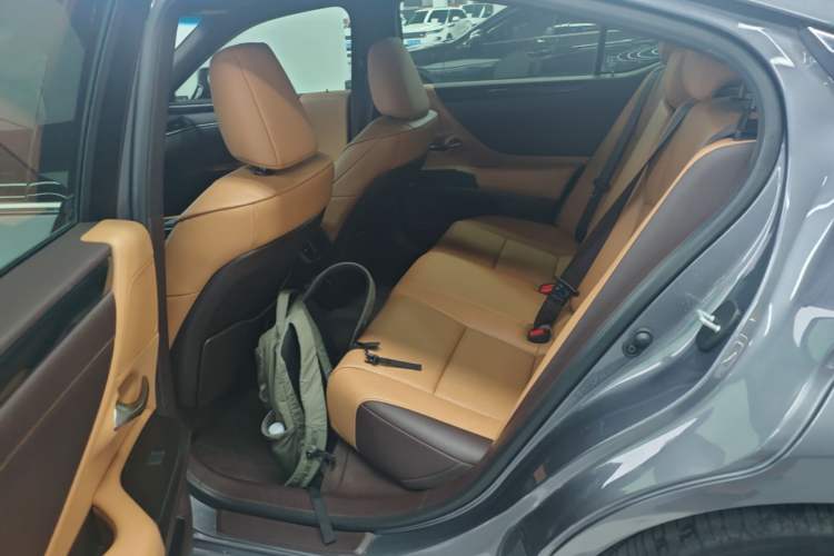 Used Lexus ES 2020 200 Excellence Edition Left Rear Seat