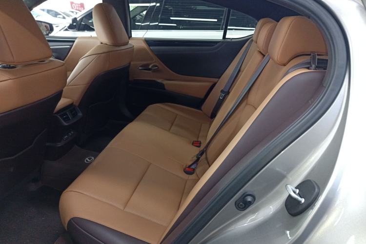 Used Lexus ES 2020 300h Premier Edition Left Rear Seat