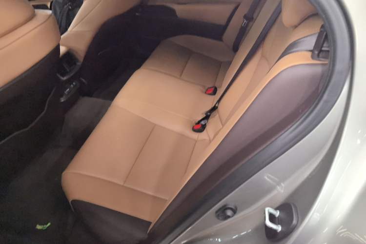 Used Lexus ES 2020 200 Luxury Edition Left Rear Seat