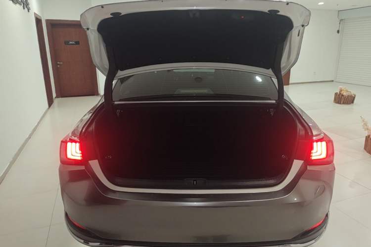 Used Lexus ES 2020 200 Excellence Edition Trunk