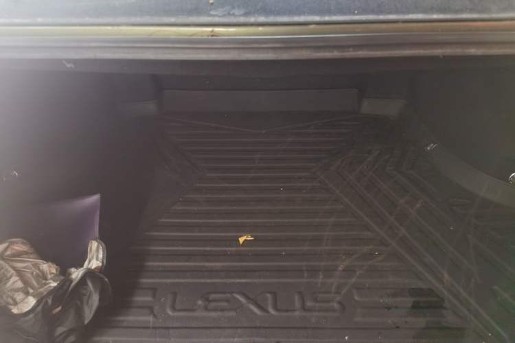 Used Lexus ES 2020 200 Excellence Edition Trunk