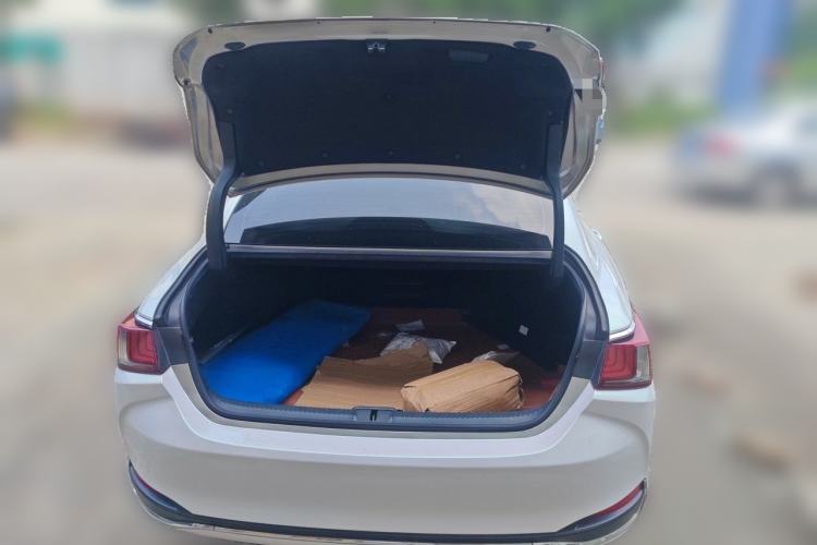 Used Lexus ES 2020 300h Premier Edition Trunk
