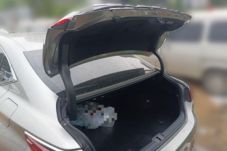 Used Lexus ES 2020 300h Premier Edition Trunk