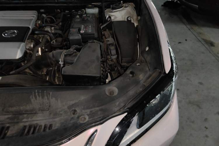 Used Lexus ES 2020 200 Excellence Edition Engine Bay Left