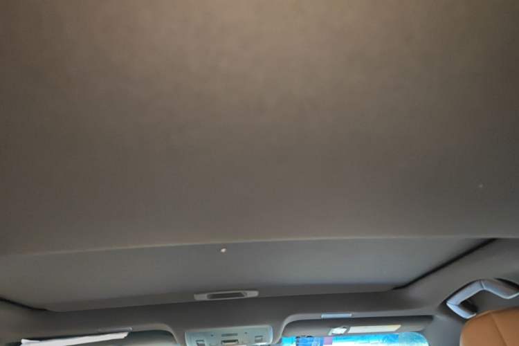 Used Lexus ES 2020 300h Premier Edition Headliner