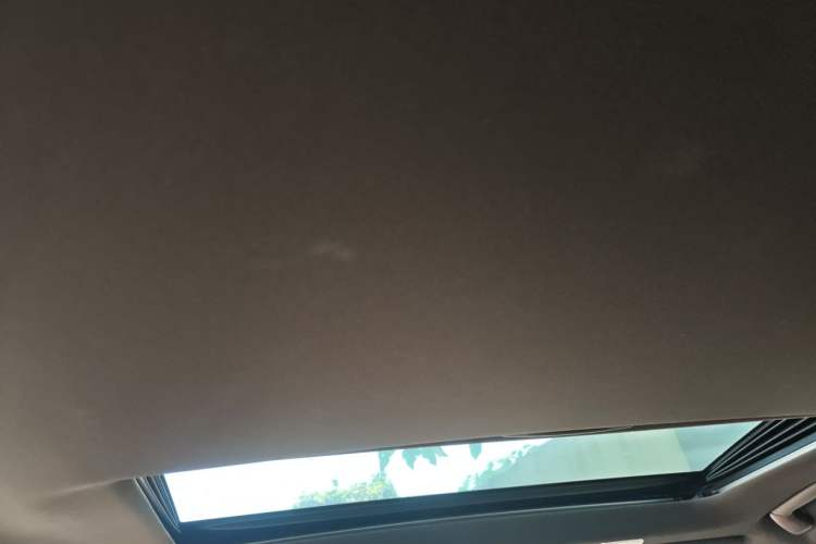 Used Lexus ES 2020 200 Excellence Edition Headliner