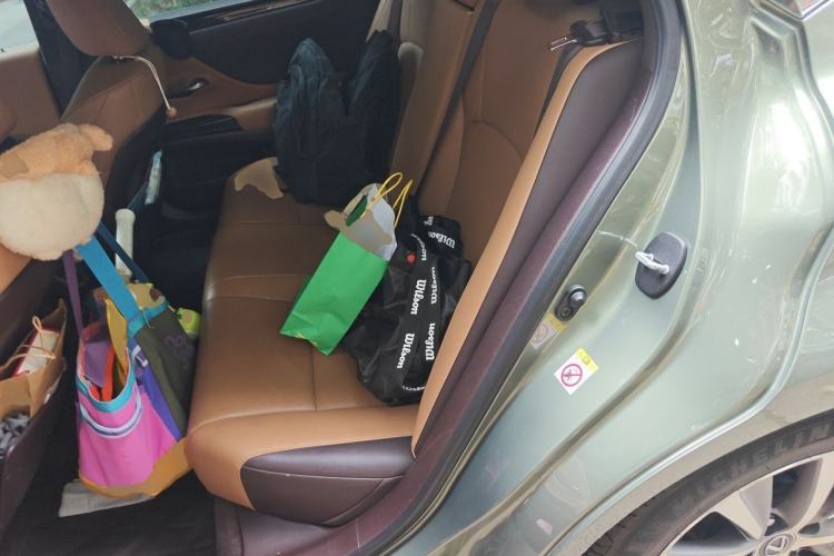 Used Lexus ES 2020 200 Excellence Edition Left Rear Seat