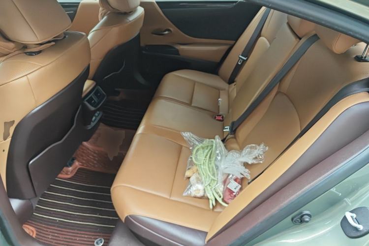 Used Lexus ES 2020 300h Premier Edition Left Rear Seat