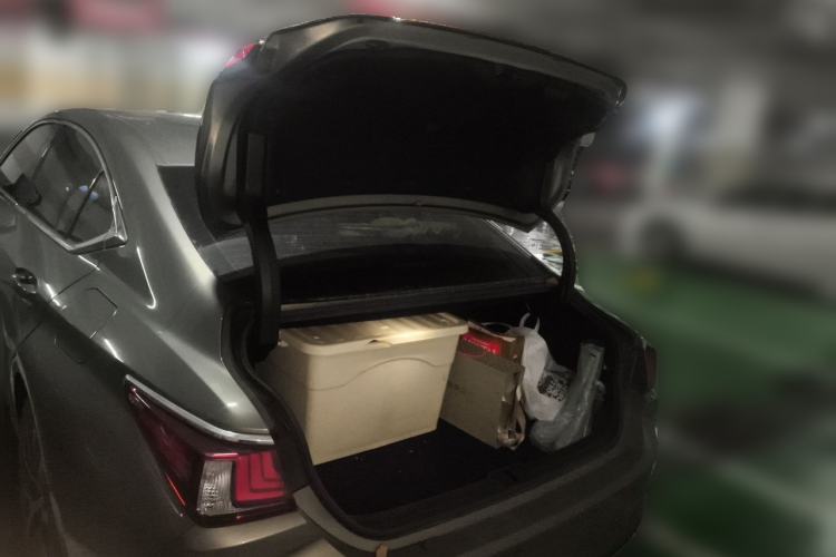 Used Lexus ES 2020 300h Premier Edition Trunk