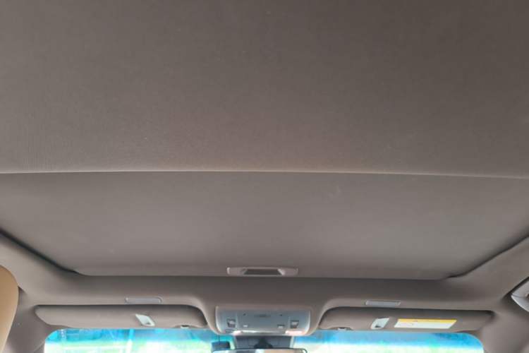 Used Lexus ES 2020 200 Excellence Edition Headliner
