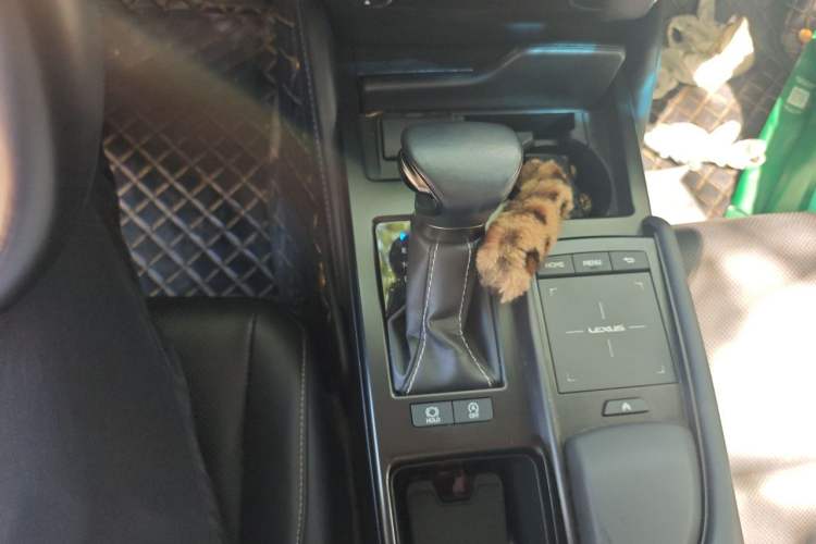 Used Lexus ES 2020 200 Luxury Edition Gear Lever