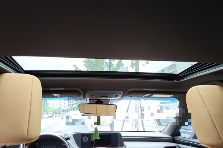 Used Lexus ES 2020 200 Excellence Edition Headliner