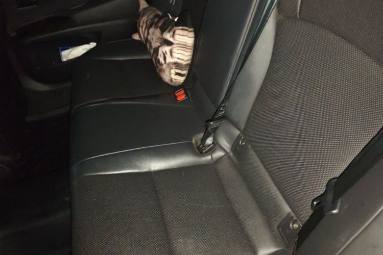 Used Lexus ES 2020 200 Luxury Edition Left Rear Seat