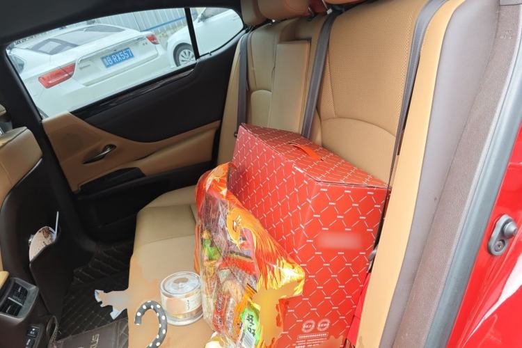 Used Lexus ES 2020 200 Excellence Edition Left Rear Seat