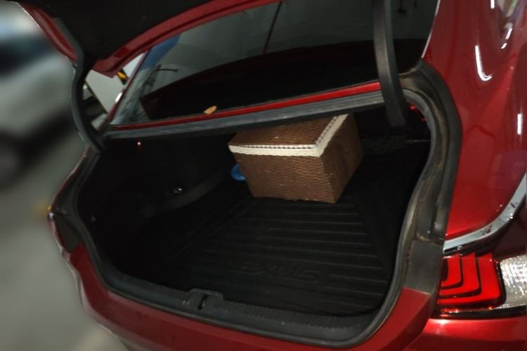 Used Lexus ES 2020 200 Luxury Edition Trunk