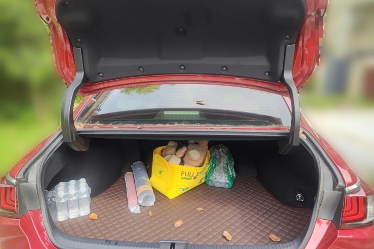 Used Lexus ES 2020 200 Excellence Edition Trunk
