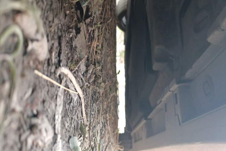 Used Lexus ES 2020 260 F SPORT Chassis Rear Right