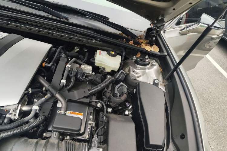 Used Lexus ES 2020 300h Premier Edition Engine Bay Left