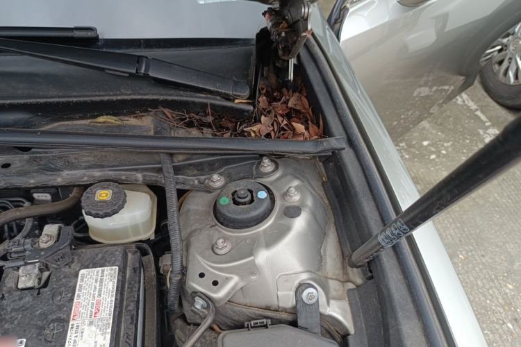 Used Lexus ES 2020 200 Excellence Edition Engine Bay Left